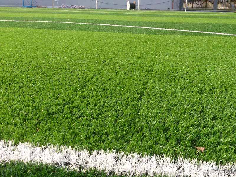 1636705804144580.jpg 248.jpg