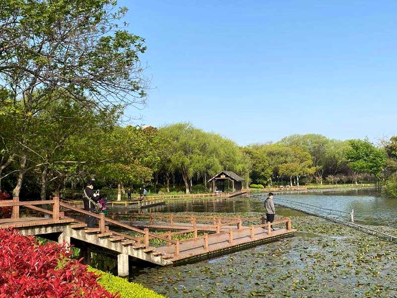 1641638620287723.jpg 2022010802.jpg