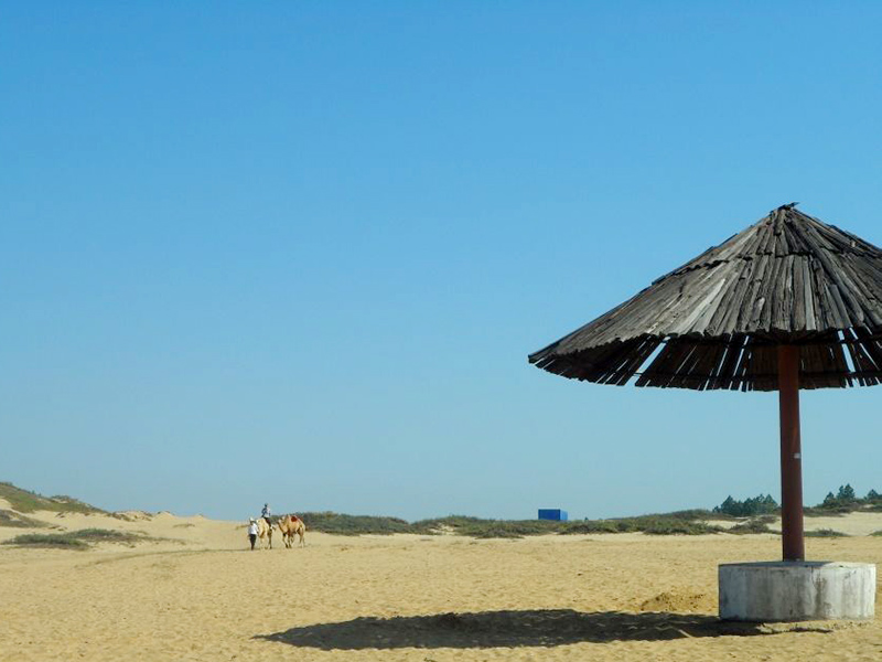 1641891289651953.jpg 3.jpg