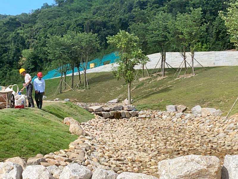 1646475535473246.jpg 2022030503.jpg